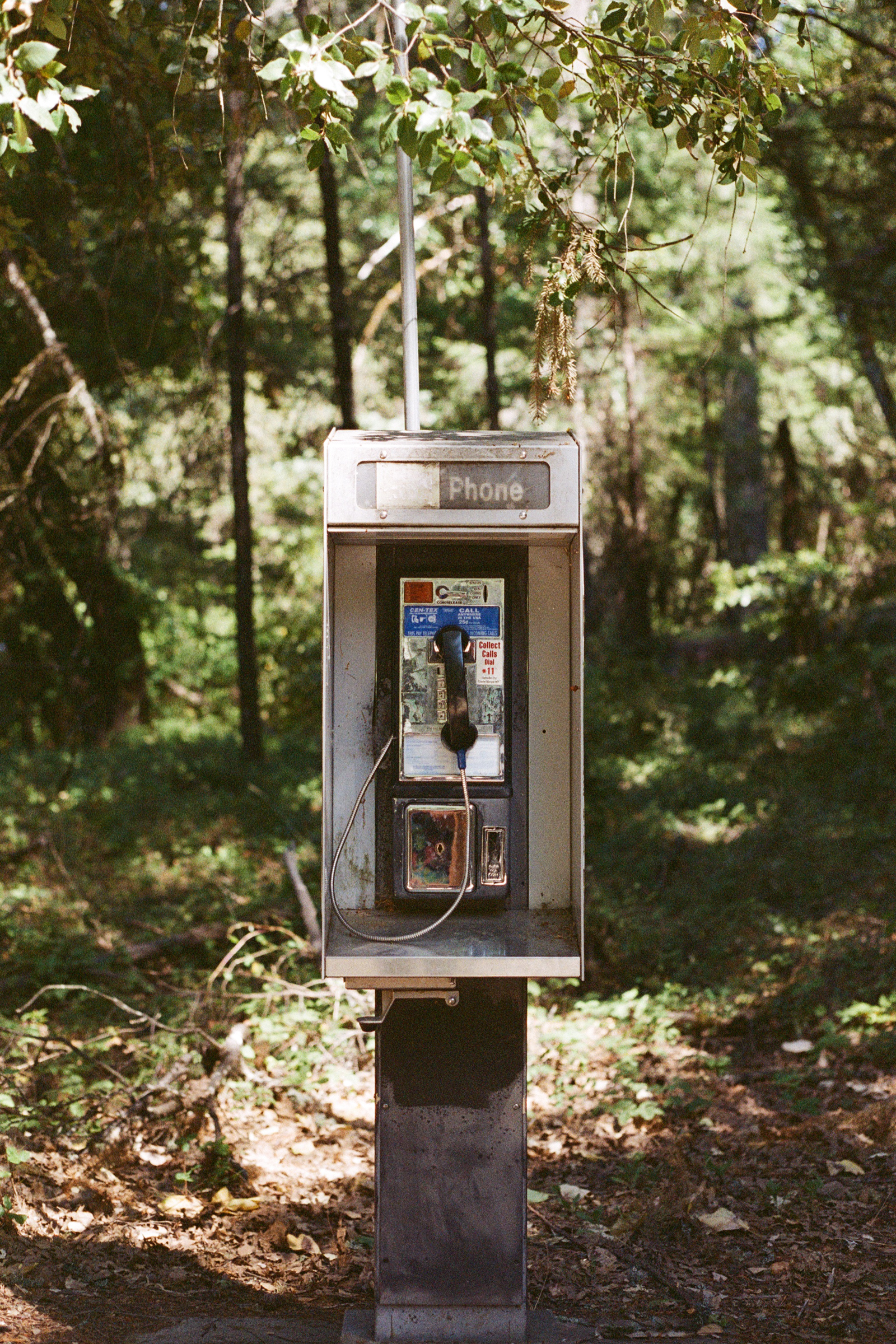 For when the wild calls