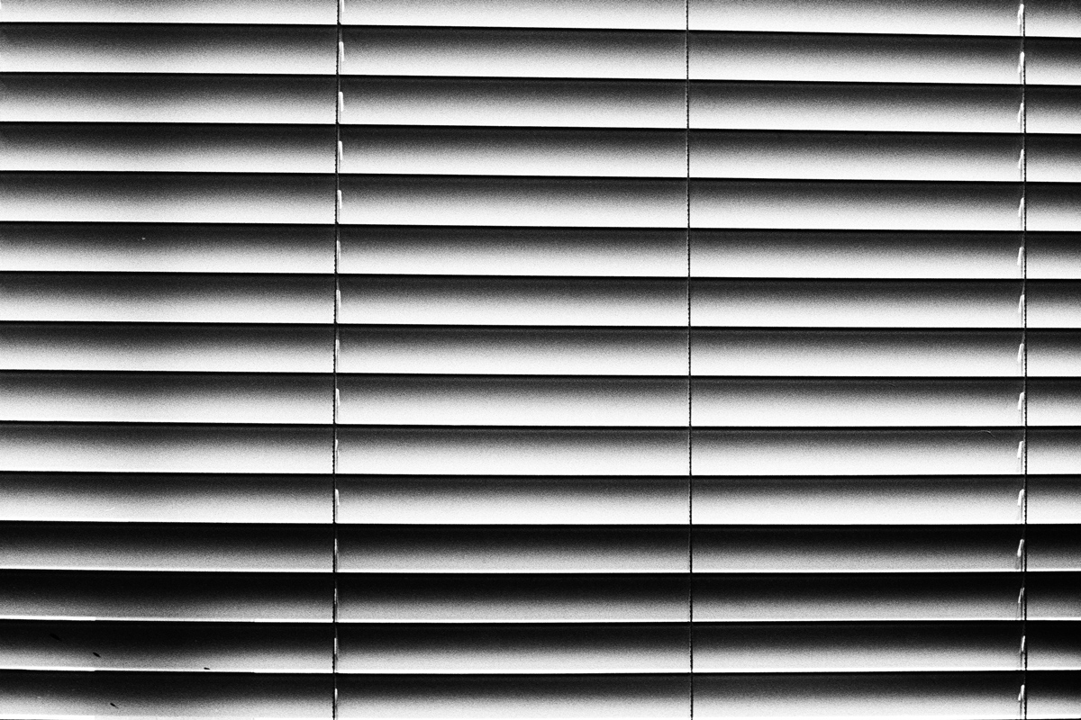 Kodak Tri-X 400 grain test