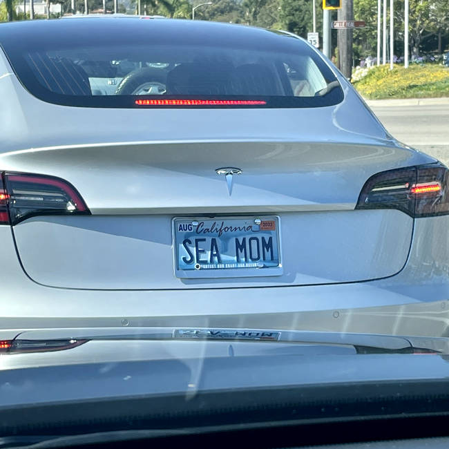 Mrs. Poseidon?